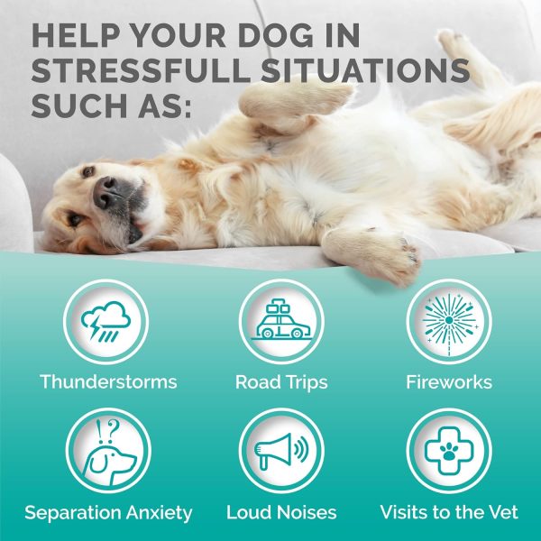 Calming Dog Chews PremiumCare Bacon Flavor Treats-2