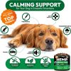 Petsology Dog Calming Chews Hemp Oil Relaxation-3