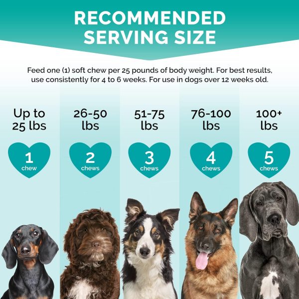 Calming Dog Chews PremiumCare Bacon Flavor Treats-4