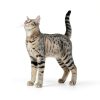 Purina Calming Care Dog Probiotic Supplement-7