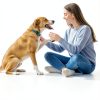 Glantu Dog Calming Diffuser Pheromones Anxiety Relief Plug-6
