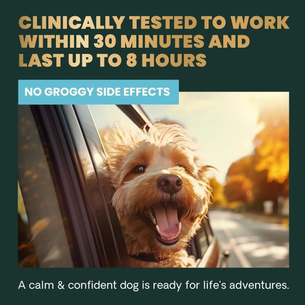 Calm & Confident Dog Calming Chews by FoodScience-5