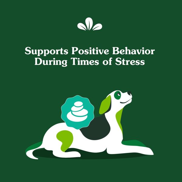 Greenies Calming Supplements for Dogs Chicken Flavor-3