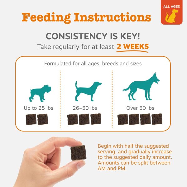 Calming Chews for Dogs Zenwise Grain Free Chicken-3