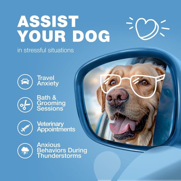 Chewia Dog Calming Chews Hemp Anxiety Relief Treats-4