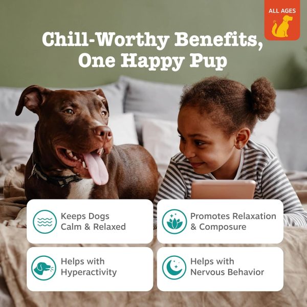 Calming Chews for Dogs Zenwise Grain Free Chicken-1