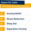 StrellaLab Dog Calming Chews Hemp Melatonin 180Ct Bacon-1