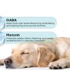 Buddy Cheer Dog Calming Chews Fast Acting Relief-3