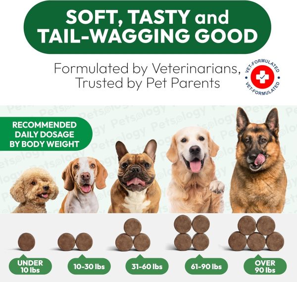 Petsology Dog Calming Chews Hemp Oil Relaxation-6