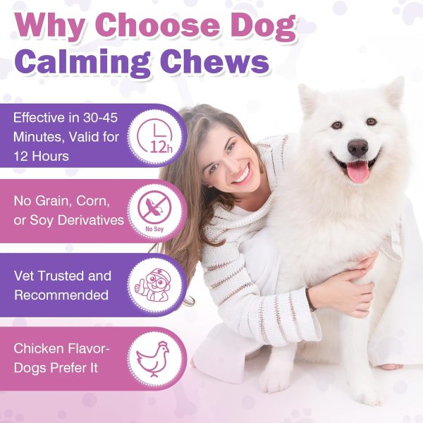 TTLXRL Calming Chews for Dogs Chicken Flavor-5