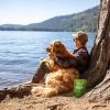 Zesty Paws Calming OraStix for Dogs-7