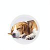 Petrivium Melatonin Chews for Dogs Sleep Aid-3