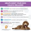 Nootie Dog Calming Chews Stress Relief Bacon Flavor-1