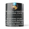 Purina Calming Care Dog Probiotic Supplement-3