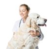 Buddy Cheer Dog Calming Chews Fast Acting Relief-7
