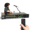 Kadjuh LD300 KTV Digital Pre-Stage Effector HD Screen Anti-Howling-6
