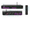 KT150 KTV Digital Equalizer K‑6 Simulation Metal Pre‑stage Reverb-1