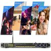 Dual Microphone Karaoke Processor REV3900-M Black Metal-3