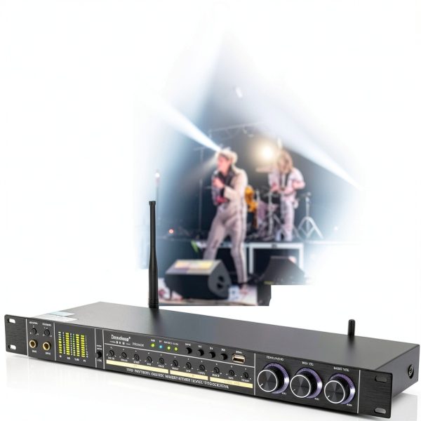 Dual Microphone Karaoke Processor REV3900-M Black Metal-6