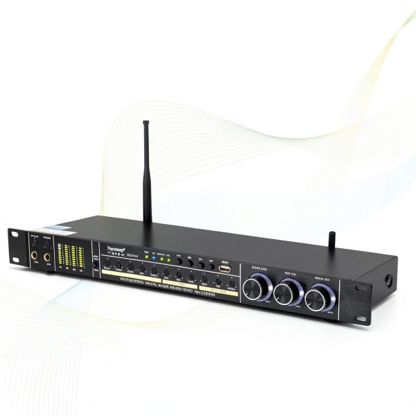REV3900 Black Karaoke Dual‑Mic with Anti‑Howling and Bluetooth-3
