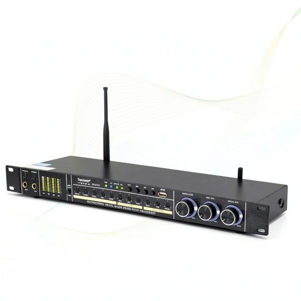 Dual Microphone Karaoke Processor REV3900-M Black Metal-7