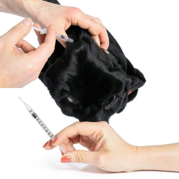 0.5ml Syringe with Needle,31G 0.5cc 5/16 Inch 8mm Needle and Syringe,Individually Wrapped,Pack of 30-5